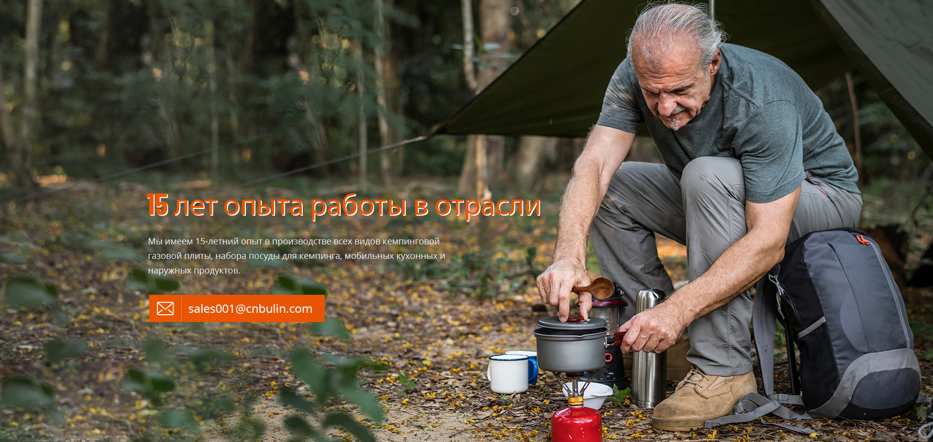 camping gas stove